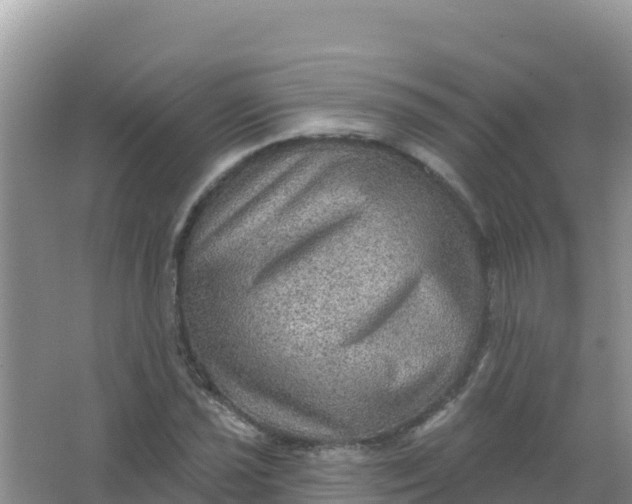 X0000066951021200604071933