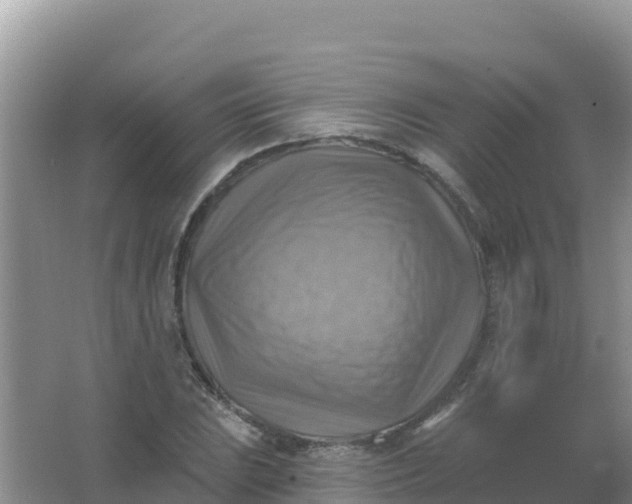 X0000066951023200604071933