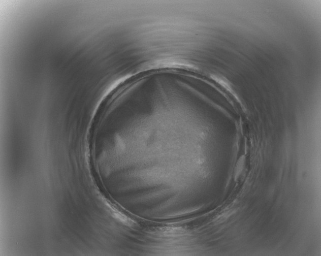 X0000066951024200604071933