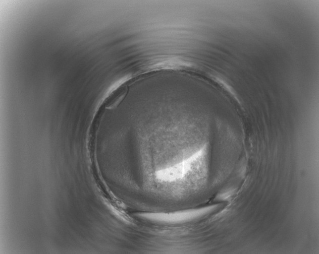 X0000066951026200604071933