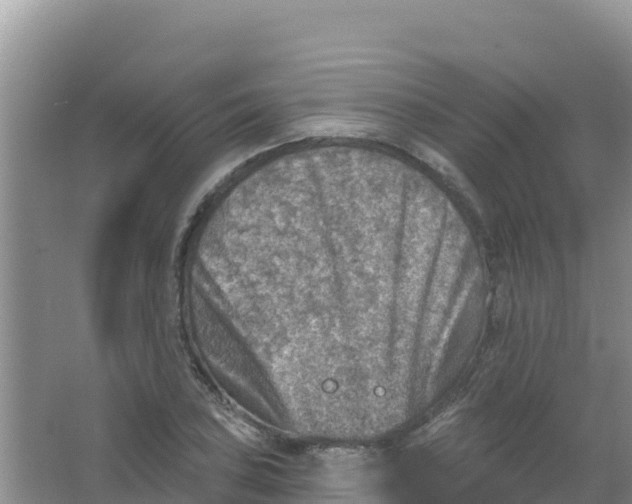 X0000066951027200604071933