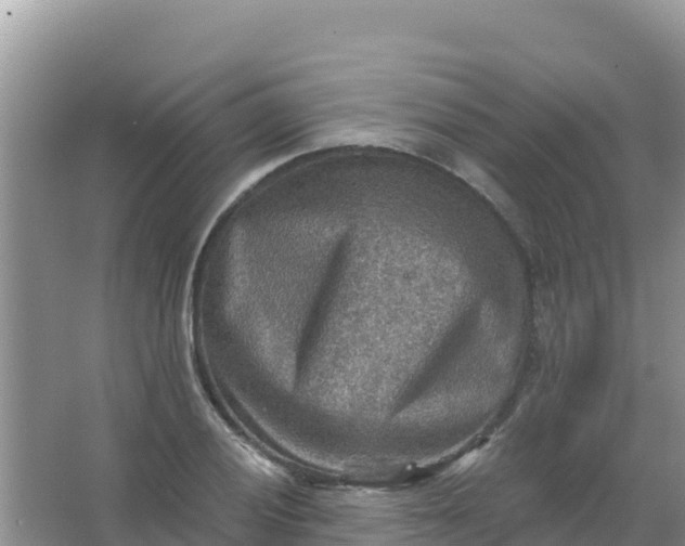 X0000066951028200604071933