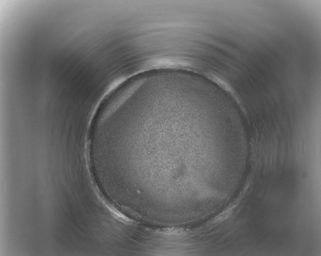 X0000066951029200604071933