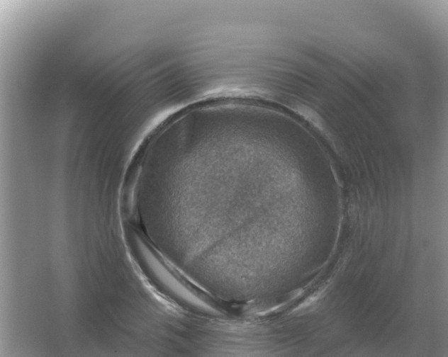 X0000066951030200604071933