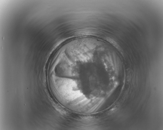 X0000066951031200604071933