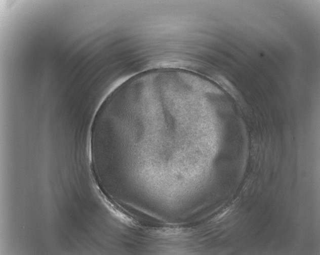 X0000066951036200604071933