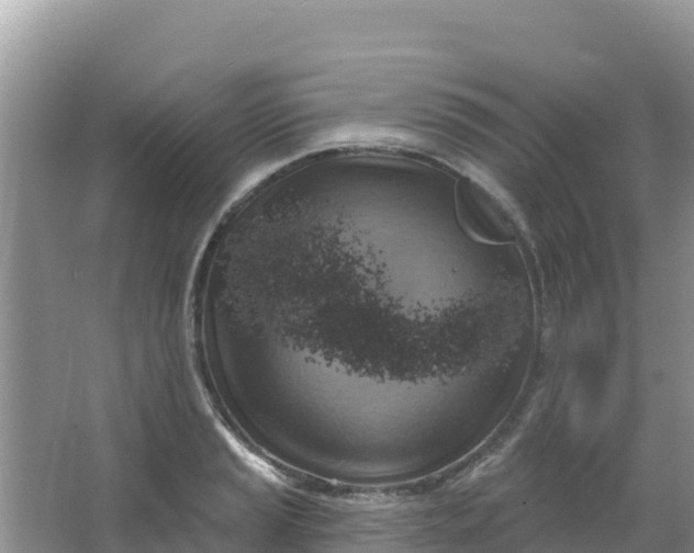 X0000066951037200604071933