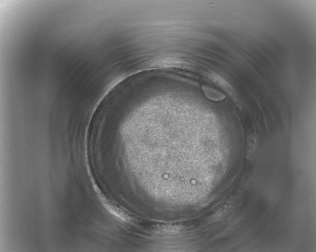 X0000066951039200604071933