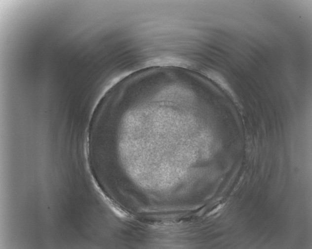 X0000066951040200604071933