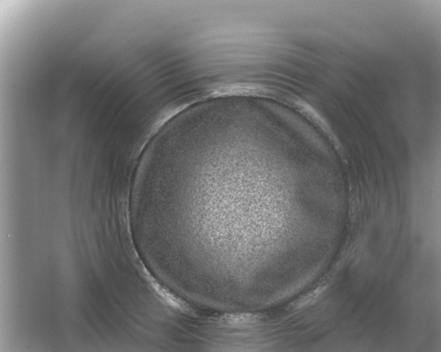 X0000066951041200604071933