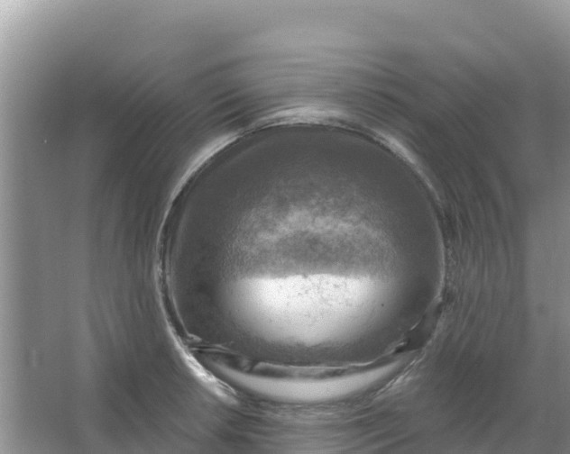 X0000066951042200604071933