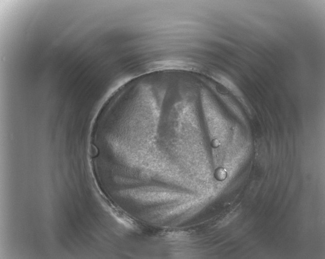 X0000066951043200604071933