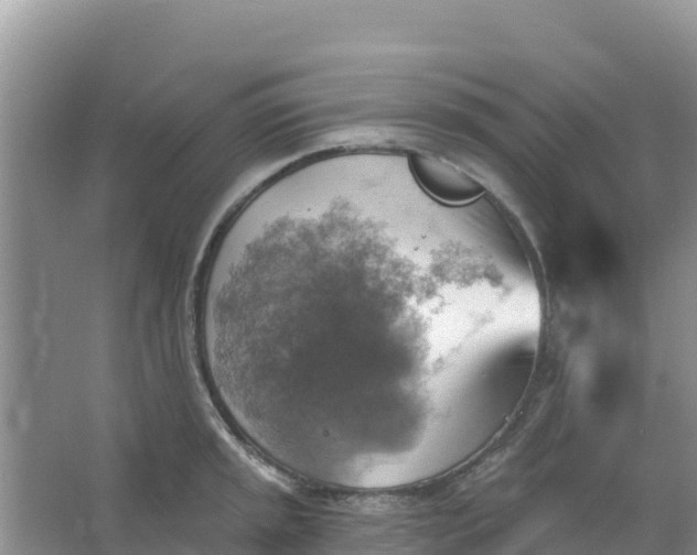 X0000066951045200604071933