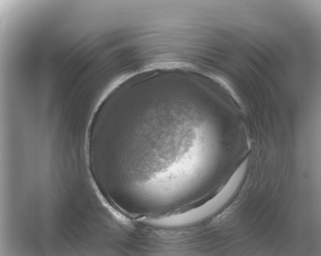 X0000066951046200604071933