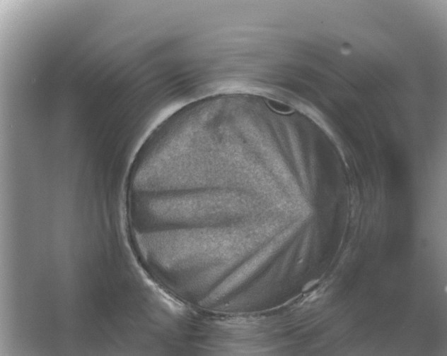 X0000066951048200604071933