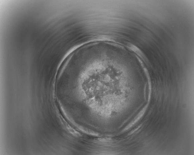 X0000066951052200604071933