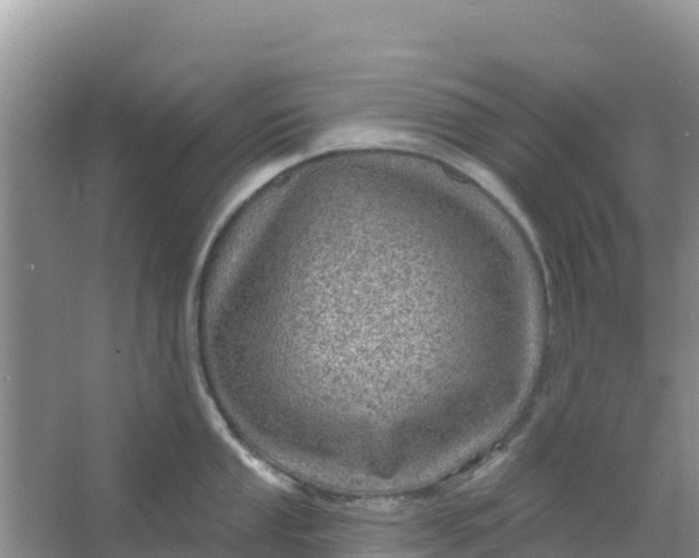 X0000066951053200604071933