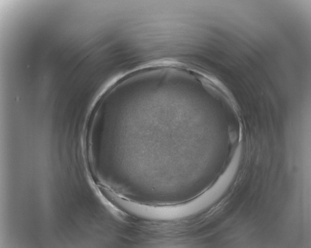 X0000066951054200604071933