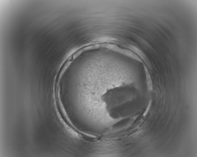 X0000066951055200604071933