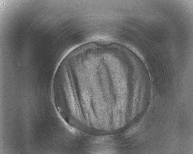 X0000066951056200604071933