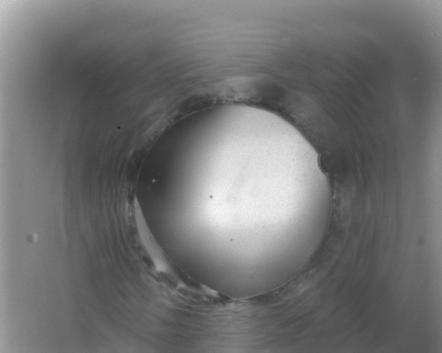 X0000066951058200604071932