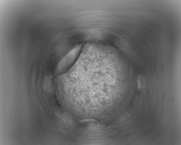 X0000066951059200604071932