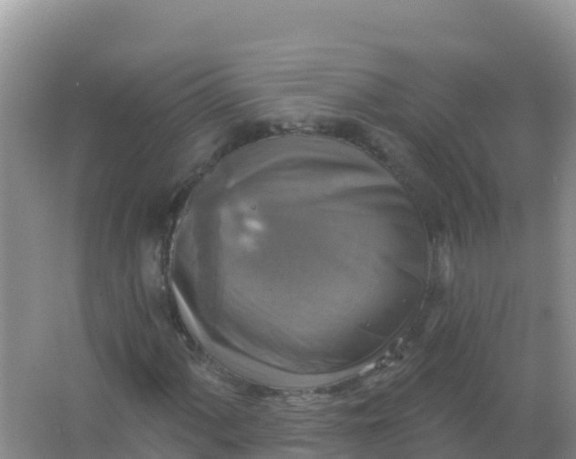 X0000066951060200604071932