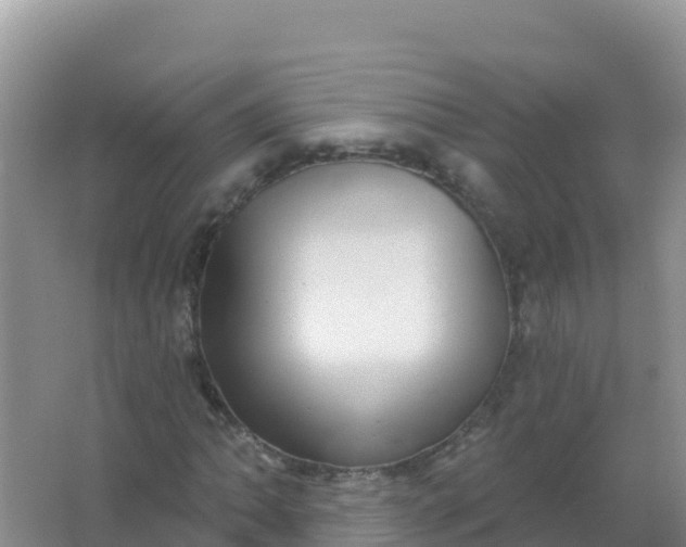 X0000066951062200604071932