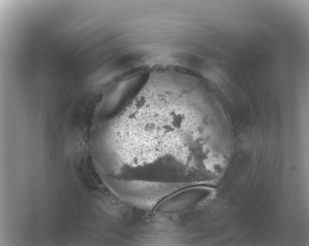 X0000066951063200604071932