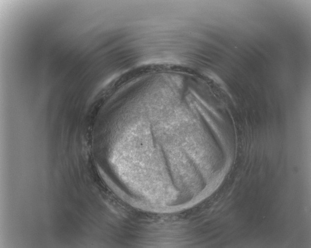 X0000066951064200604071932