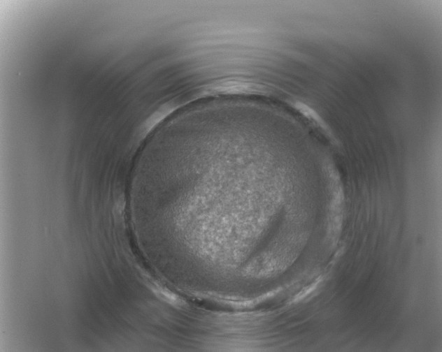 X0000066951065200604071932