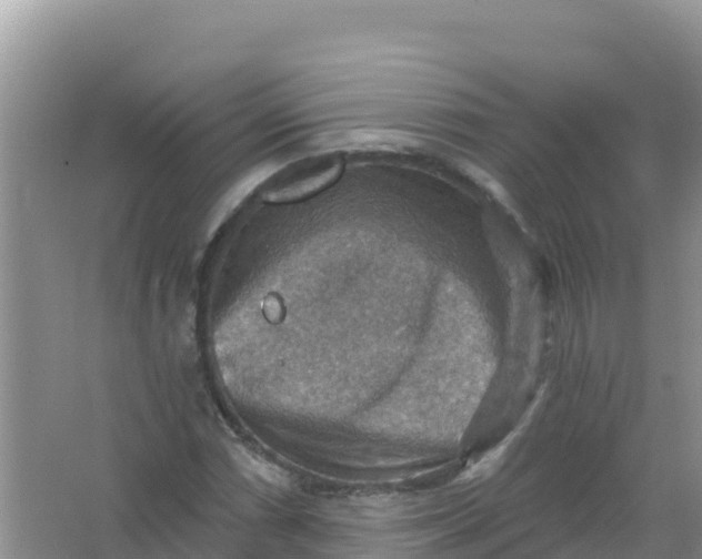 X0000066951066200604071932