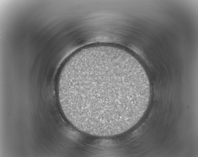 X0000066951070200604071932