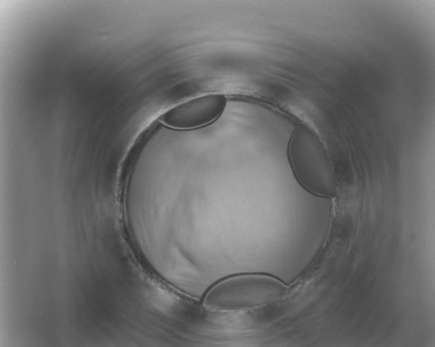 X0000066951071200604071932