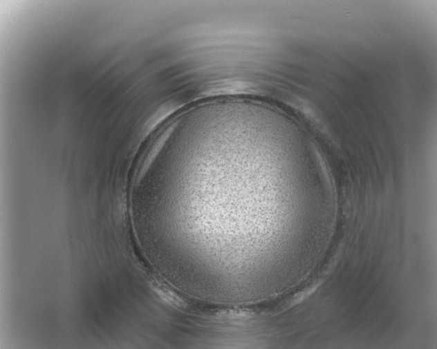 X0000066951073200604071932