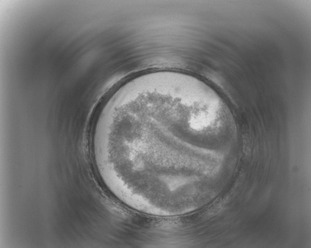 X0000066951074200604071932