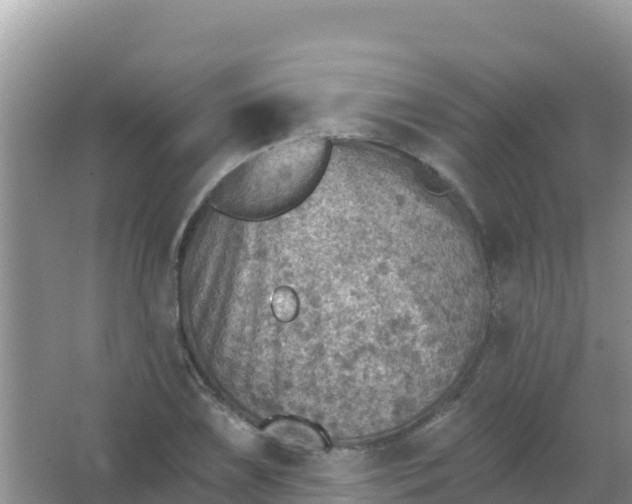 X0000066951075200604071932