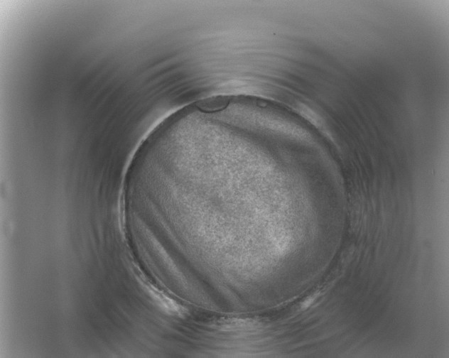 X0000066951076200604071932