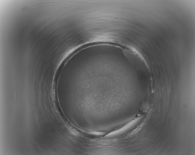 X0000066951077200604071932