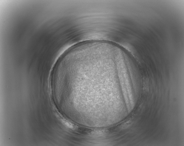 X0000066951078200604071932