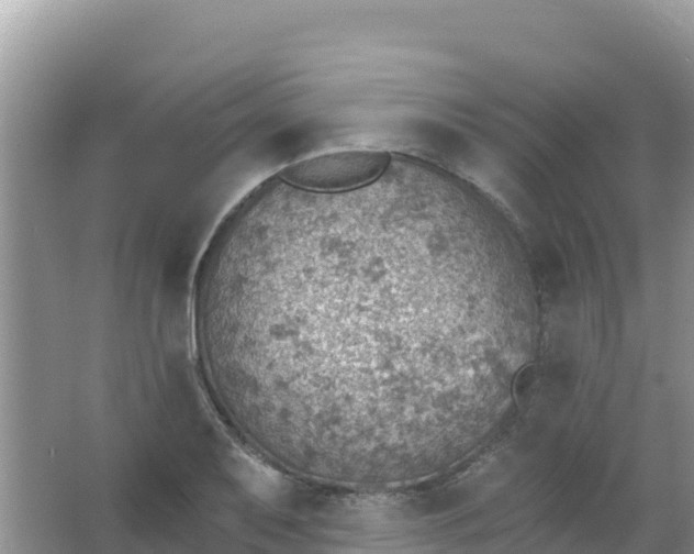 X0000066951079200604071932