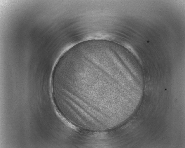 X0000066951080200604071932