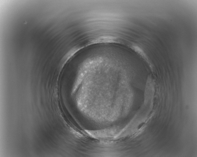 X0000066951081200604071932