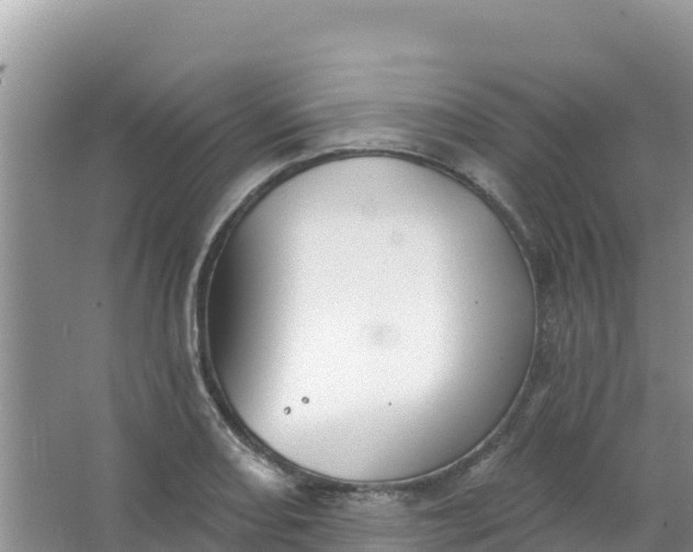 X0000066951082200604071932