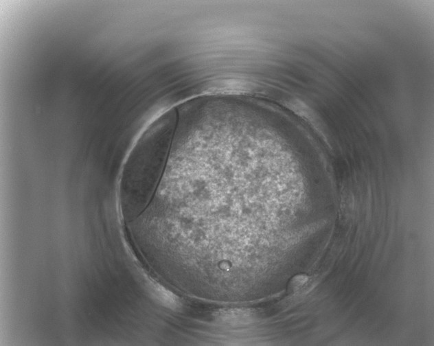 X0000066951083200604071932