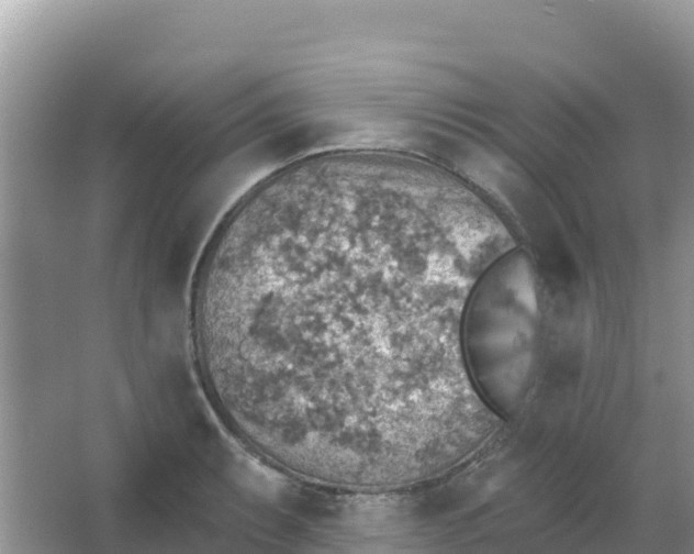 X0000066951087200604071932