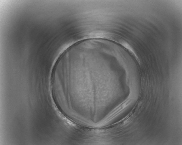 X0000066951088200604071932