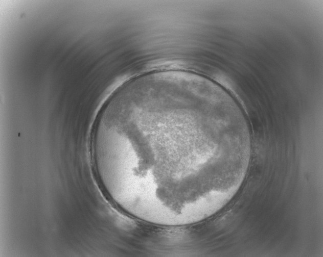 X0000066951090200604071932