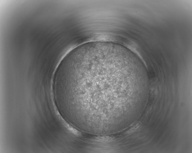 X0000066951091200604071932