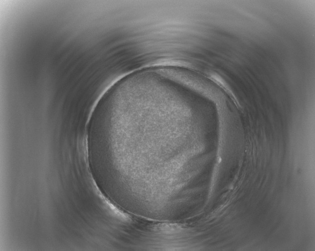 X0000066951092200604071932